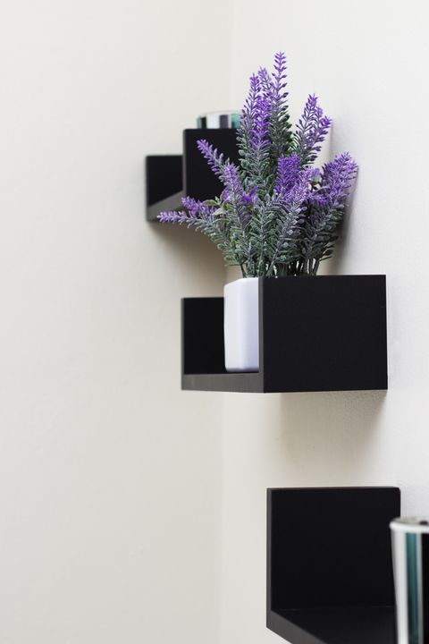 accommodation bnb port elizabeth walmer villiers self catering017